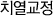 치열교정