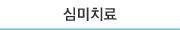 심미치료